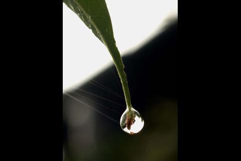 EcoDiversity: Water Droplets